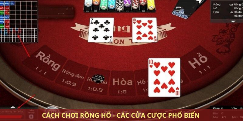 Cách chơi Rồng Hổ - Các cửa cược phổ biến