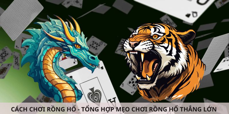 Lưu ý gì khi chơi game bài